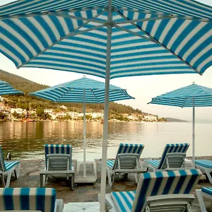 ** Отель Zena Bodrum Турция